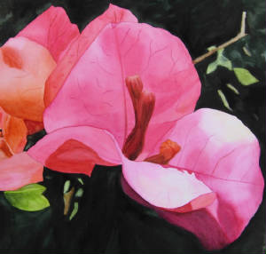 Paintings/Bougainvillea1.JPG