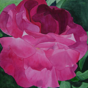 Paintings/FuschiaRose.jpg