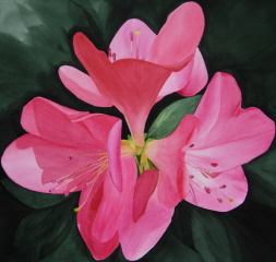 Paintings/Azalea2web.jpg