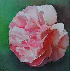 Paintings/FranRoseweb.jpg