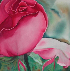 Paintings/Magentaroseweb.jpg