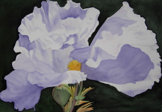 Paintings/Matilija2web.jpg