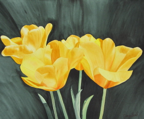 Paintings/SeveralYellowTulipsweb.jpg