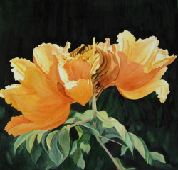 Paintings/YellowTulipTree1web.jpg